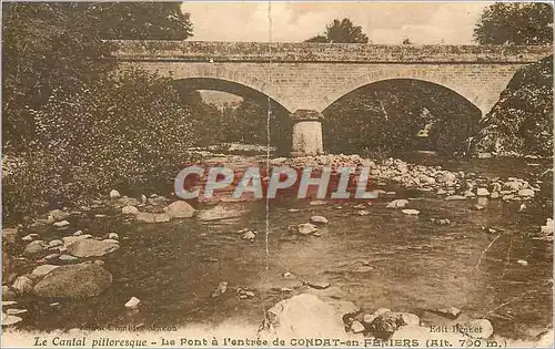 Cartes postales Le Cantal Pittoresque Le Pont a l'Entree de Condat en Feniers
