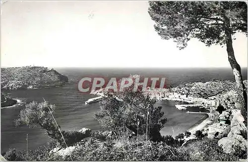 Ansichtskarte AK Mallorca Soller Vista parcial del Puerto