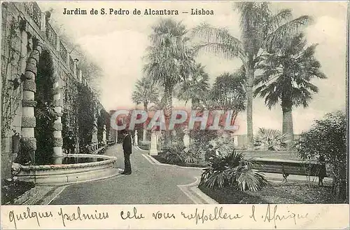 Cartes postales Jardim de S Pedro de Alcantara Lisboa