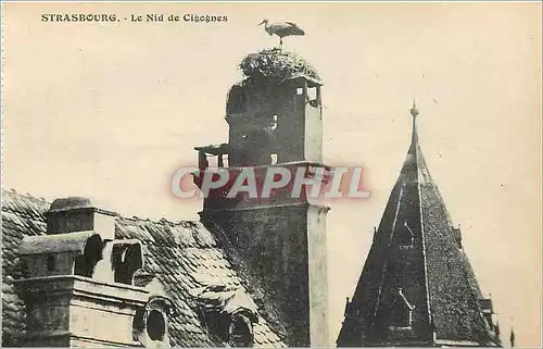 Cartes postales Strasbourg Le Nid de Cigognes