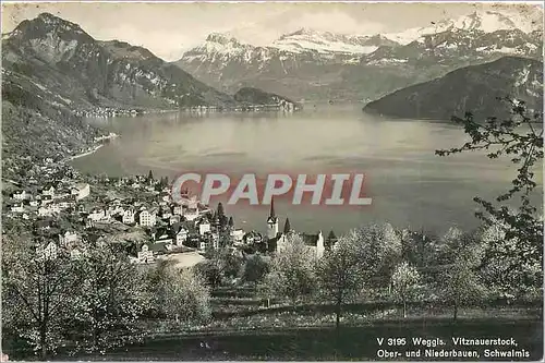 Ansichtskarte AK Weggis Vitznauerstock Ober und Niederbauen Schwalmis