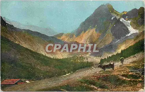 Cartes postales Vaches
