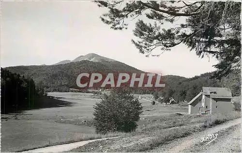 Cartes postales moderne Les Belles Alpes Francaises Du Royans au Vercors Foret de Lente et Montagne de Font d'Urle