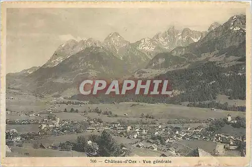 Cartes postales Chateau d'Oex Vue generale