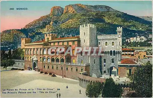 Cartes postales Monaco Le Palais du Prince et la Tete de Chien
