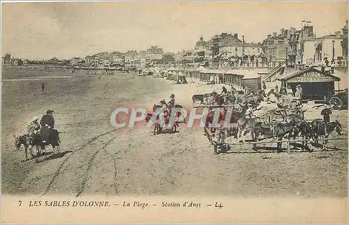 Cartes postales Les Sables d'Olonne La Plage Station d'Anes Mule Enfants