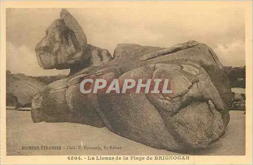 Cartes postales Rochers Etranges La Lionne de la Plage de Brignogan