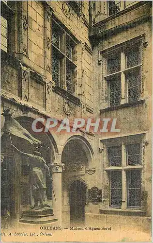 Cartes postales Orleans Maison d'Agnes Sorel (carte toilee)