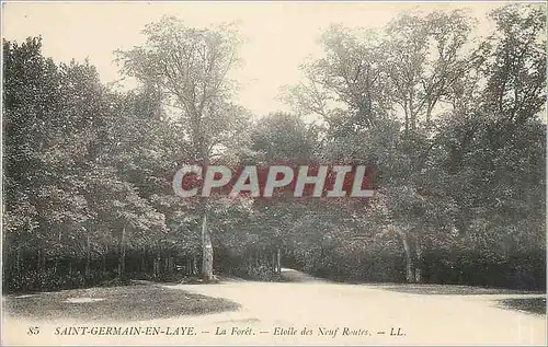 Cartes postales Saint Germain en Laye La Foret Etoile des Neuf Routes