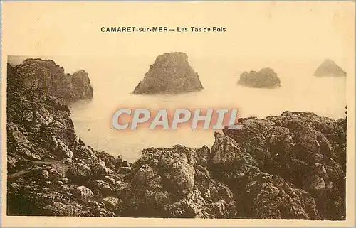 Cartes postales Camaret sur Mer Les Tas de Pois
