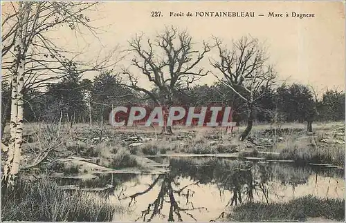 Cartes postales Foret de Fontainebleau Mare a Dagneau