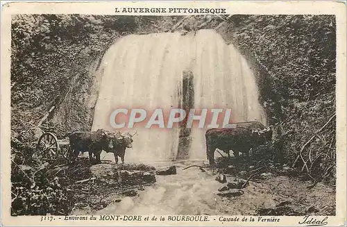 Cartes postales L'Auvergne pittoresque Environs du Mont Dore et de la Bourboule Cascade de la Verniere