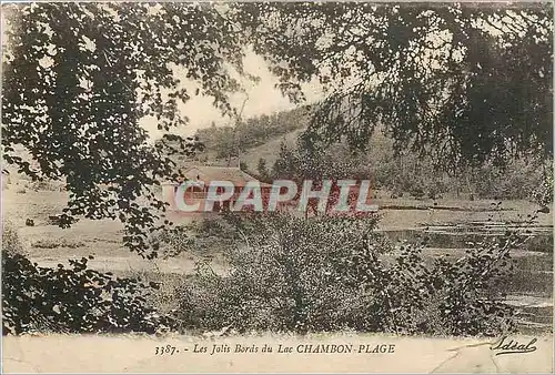 Cartes postales Les Jolis Bords du Lac Chambon Plage