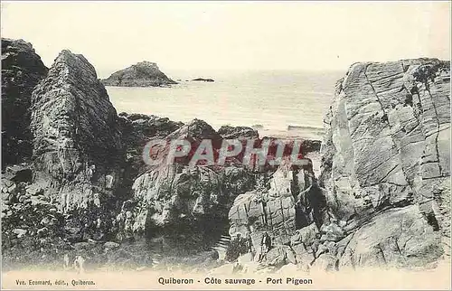 Cartes postales Quiberon Cote sauvage Port Pigeon