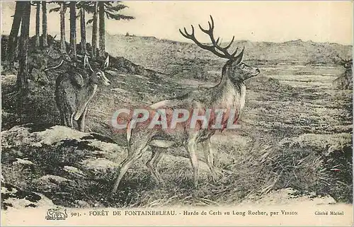 Ansichtskarte AK Foret de Fontainebleau Harde de Cerfs au Long Rocher par Vision