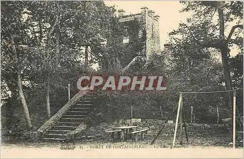 Cartes postales Foret de Fontainebleau La Tour Denecourt