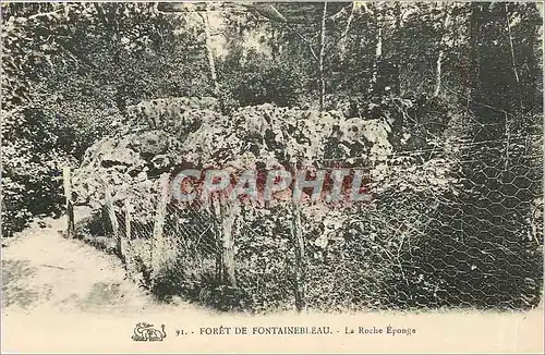 Cartes postales Foret de Fontainebleau La Roche Eponge