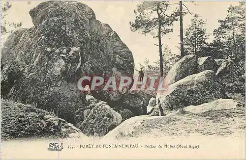 Ansichtskarte AK Foret de Fontainebleau Rocher de Plutus Mont Aigu