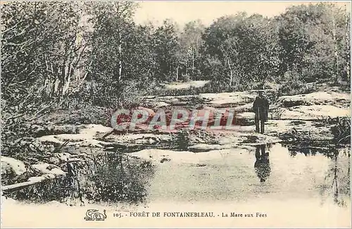 Ansichtskarte AK Foret de Fontainebleau La Mare aux Fees