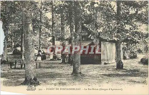 Ansichtskarte AK Foret de Fontainebleau Le Bas Breau Gorges d'Apremont