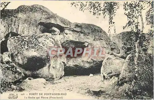 Cartes postales Foret de Fontainebleau La Roche qui Pleure Franchard