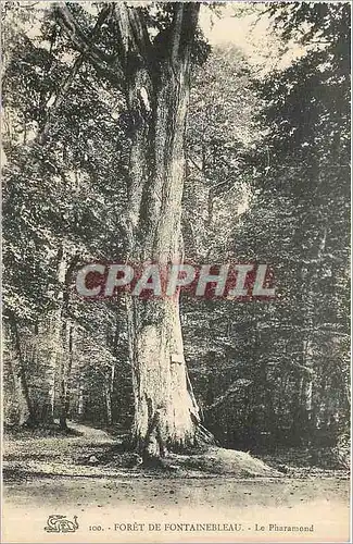 Cartes postales Foret de Fontainebleau Le Pharamond