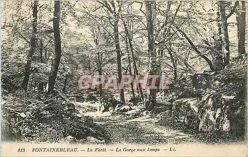 Ansichtskarte AK Foret de Fontainebleau La Foret La Gorge aux Loups