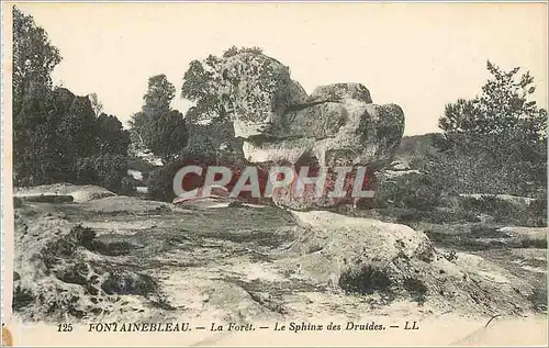 Ansichtskarte AK Fontainebleau La Foret Le Sphinx des Druides