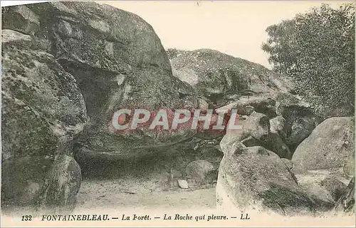 Cartes postales Fontainebleau La Foret La Roche qui pleure