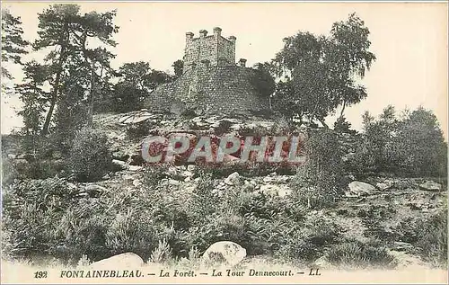 Cartes postales Fontainebleau La Foret La Tour Dennecourt