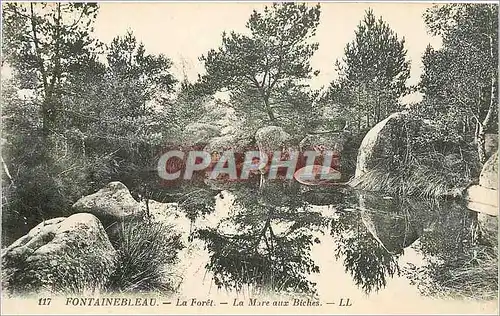 Cartes postales Fontainebleau La Foret La Mare aux Biches