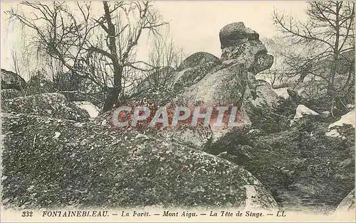 Ansichtskarte AK Fontainebleau La Foret Mont Aigu La Tete de Singe