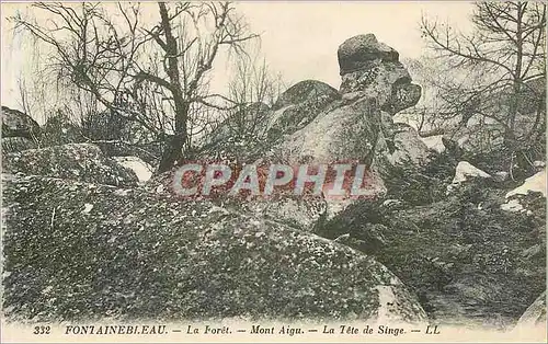 Cartes postales Fontainebleau La Foret Mont Aigu La Tete de Singe