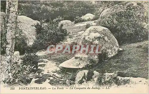 Ansichtskarte AK Fontainebleau La Foret La Casquette du Jockey