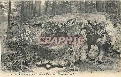 Ansichtskarte AK Fontainebleau La Foret L'Elephant