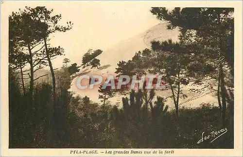Cartes postales Pyla Plage Les Grandes Dunes vue de la foret