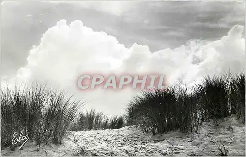 Cartes postales Soulac sur Mer Gironde La Dune sauvage a l'Ocean