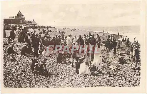 Cartes postales Cayeux La Plage a Maree Haute