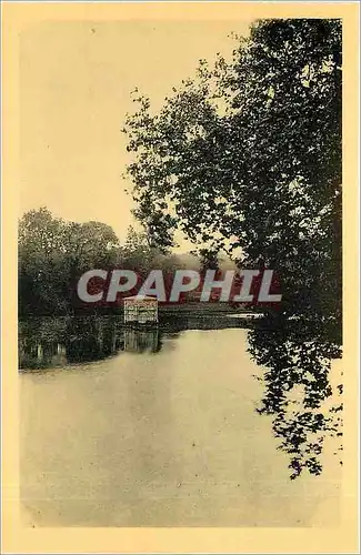 Cartes postales Chateau de Fontainebleau L'Etang des Carpes