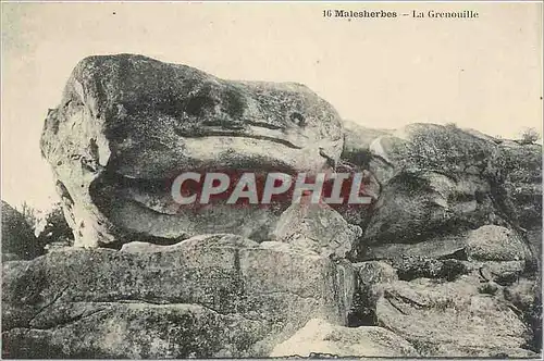 Cartes postales Malesherbes La Grenouille