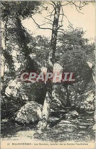 Ansichtskarte AK Malesherbes Les Roches sentier de la Roche Feuilletee