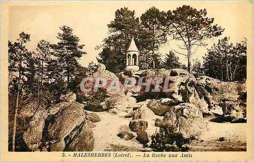 Ansichtskarte AK Malesherbes Loiret La Roche aux Amis