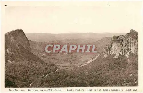 Ansichtskarte AK Environs du Mont Dore Roclie Tuillere et Roche Sanadoire