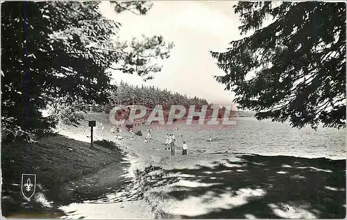 Cartes postales moderne L'Auvergne Pittoresque Le Lac Serviere