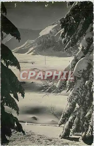 Cartes postales Le Mont Dore P de D Paysage de neige au Sancy