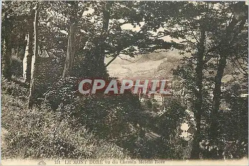 Cartes postales Le Mont Dore vu du Chemin Melehi Roze