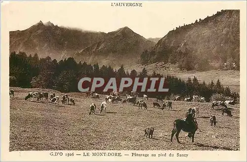 Cartes postales L'Auvergne Le Mont Dore Paturage au pied du Sancy