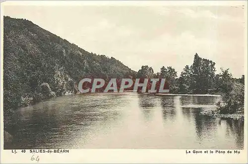Cartes postales Salies de Bearn La Gave et le Pene de Mu