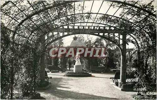 Cartes postales moderne Belfort La Roseraie