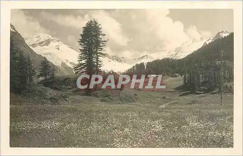 Cartes postales Sils em Engadin Im Fextal